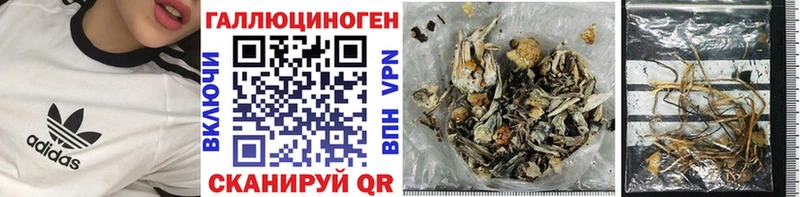 Галлюциногенные грибы Psilocybine cubensis  как найти наркотики  Уссурийск 