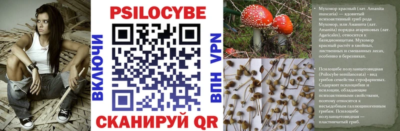 Галлюциногенные грибы ЛСД Уссурийск